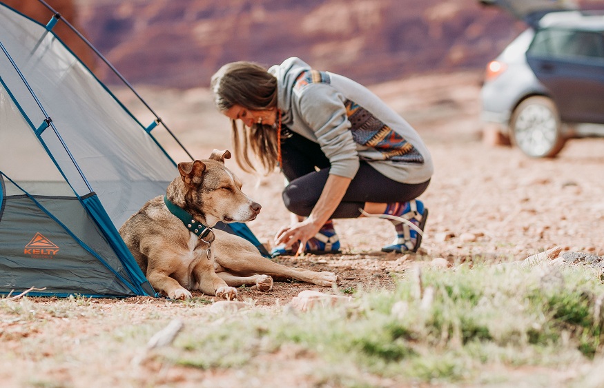 Pet-Proof Your Adventure: Essential Tips and Tricks for Outdoor Trips
